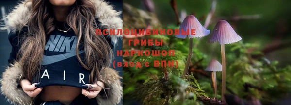 спиды Алексеевка