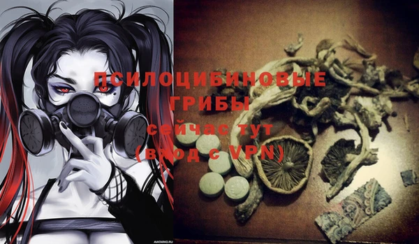гашик Магадан