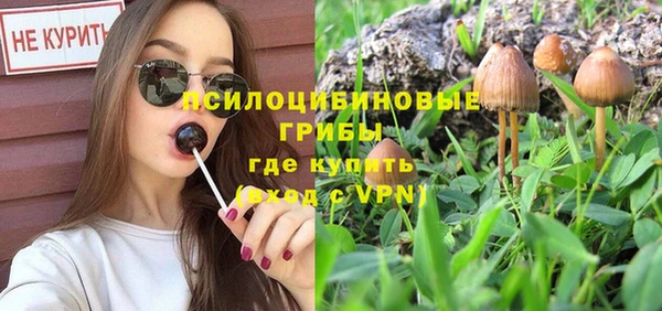 спиды Алексеевка