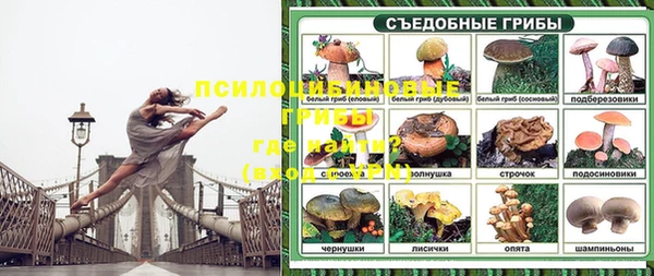 спиды Алексеевка
